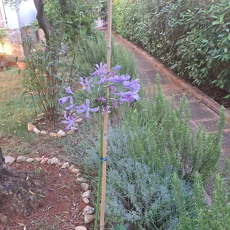 Donna Apartman Poreč