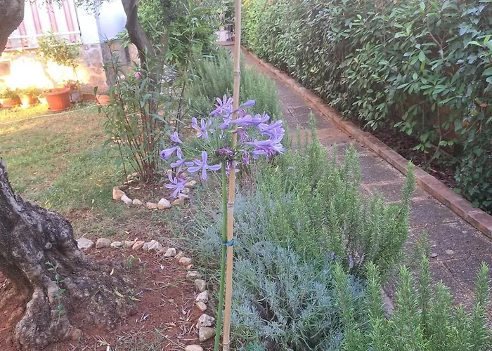 Donna Apartman Poreč