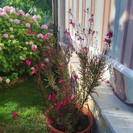 Donna Apartman
