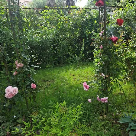 Apartman Donna *