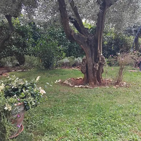 Donna Poreč