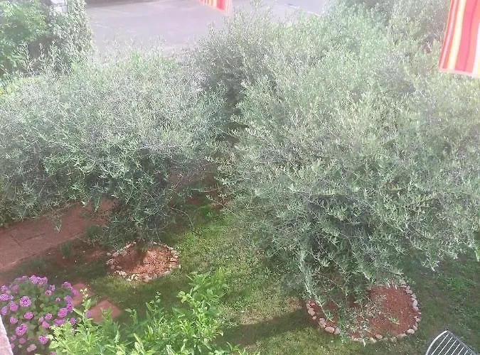 Donna * Poreč
