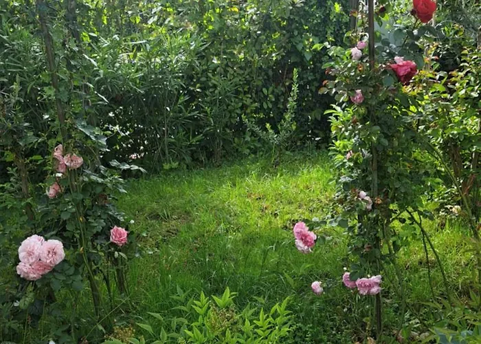 Appartamento Donna *